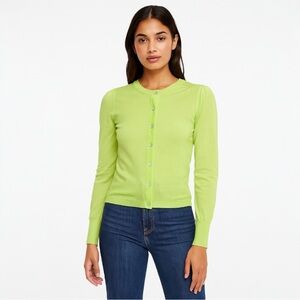 Maria di Ripabianca Italy Light Green Cashmere & silk Cardigan – Size 8